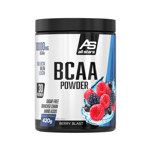 BCAA POWDER, 420 g