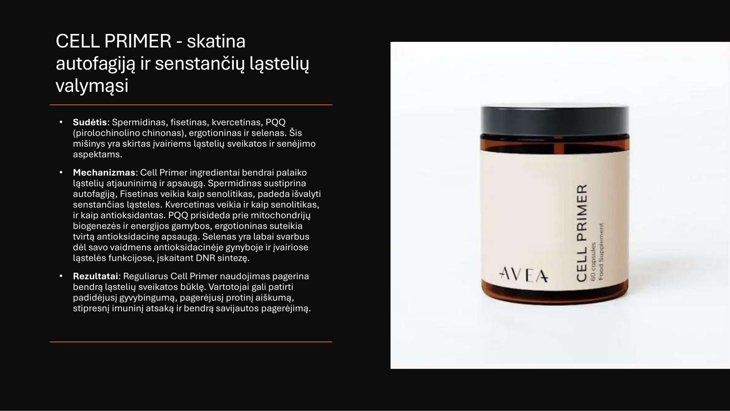 AVEA prezentacija - 4 psl.
